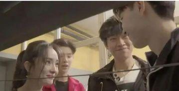 吃瓜归乡大结局,揭秘乡村风云，大结局揭晓